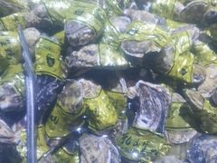 -聚盛源蒸汽海鲜火锅烤肉自助(巨川金海岸购物广场店)