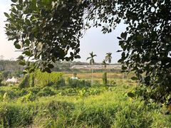 -侯臣咖啡文化村