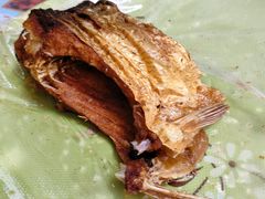 烤鱼-艾力江和田馕坑烤肉店