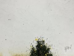 -东梓关景区村庄