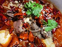 招牌毛血旺-映水芙蓉(上海万象城店)