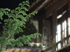 -喜洲翰林餐厅(董家百年老宅店)