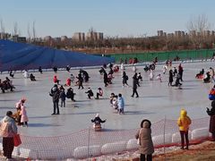 -绿野森林乐园冰雪季