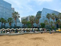 -金沙湖公园