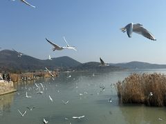 -太湖面馆十八浇(渔港路店)