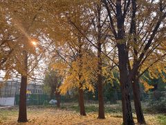 -国家植物园南园