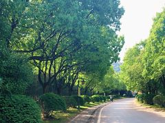 -南京市江宁方山