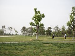 -汉长安城未央宫国家考古遗址公园