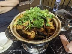 麻辣鲶鱼煲-川香煲(茅台路店)