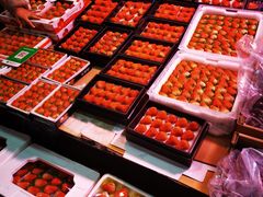 -深圳市海吉星国际农产品物流管理有限公司