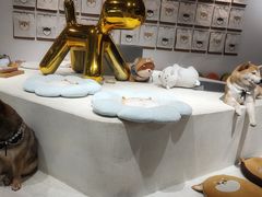 -柴务处·柴犬主题狗咖