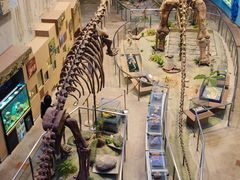 -陕西自然博物馆