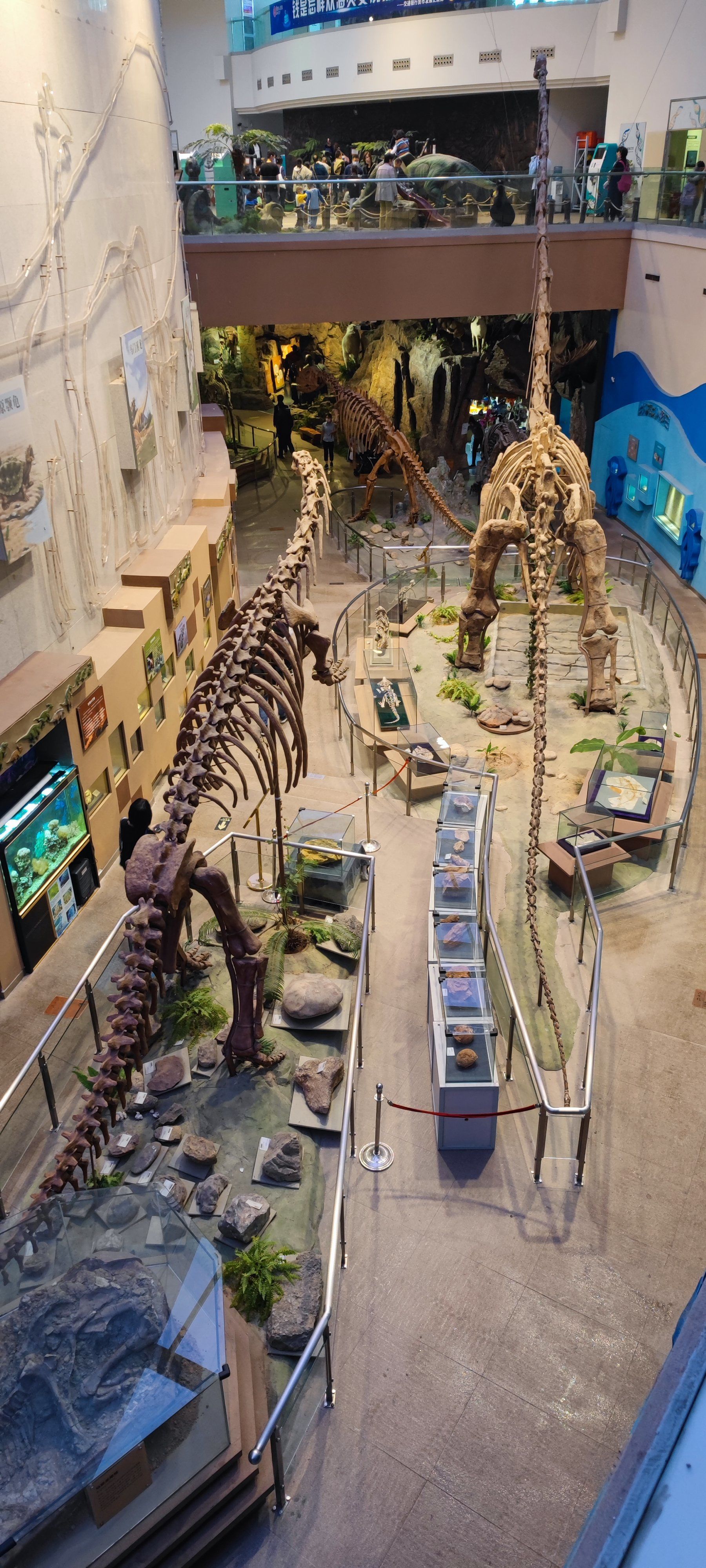 溜娃就来陕西自然博物馆93坐标西安 95