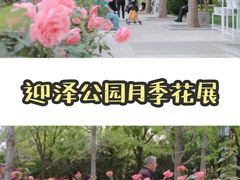 -迎泽公园