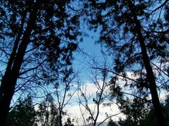 -阳台山自然风景区