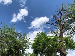 -阳台山自然风景区