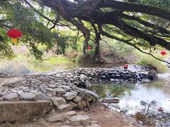 -南靖田螺坑土楼群景区