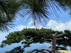 -罗田薄刀峰风景区