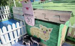 -萌宠亲子动物乐园(槐房万达店)