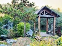 -上海共青森林公园