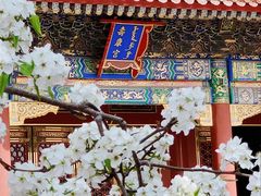 -故宫博物院(故宫)