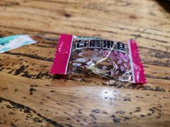 -一盏明灯全素斋(殊像寺店)