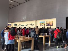 -Apple零售店(华贸购物中心店)