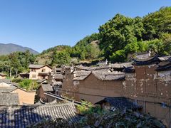 -杨家堂村