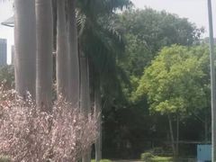 -观澜湖生态运动公社