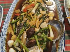 -卷心菜和避孕套餐厅(Pattaya)