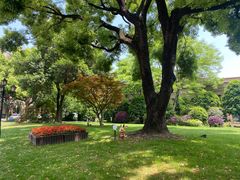 -上海兴国宾馆香樟园西餐厅