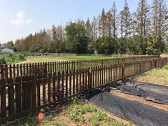 -前小桔亲子创意农场·草莓采摘·露营烧烤