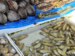 -马栏广场(地铁站)