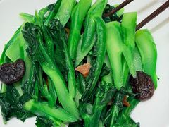 -潮江春(阳光店)