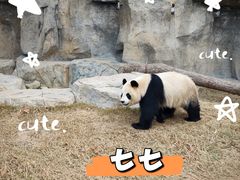-上海野生动物园