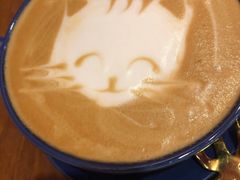 -猫色咖啡·猫咖