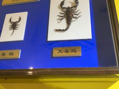 -上海昆虫博物馆