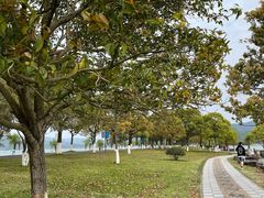 -东钱湖旅游度假区