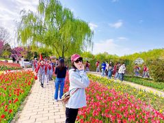 -石家庄市植物园