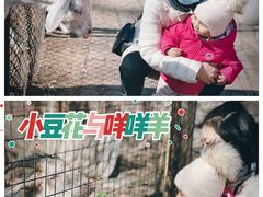 -保定市动物园