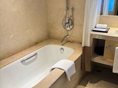 -佛山岭南天地康得思酒店