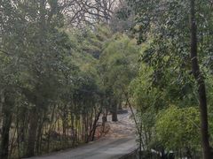 -紫金山天文台