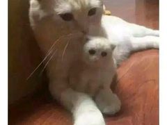 -怡人怡口牛排海鲜自助(飞龙大厦店)