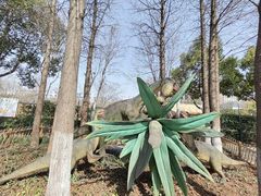 -自然谷恐龙园