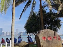 -万绿园