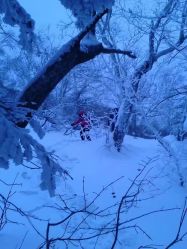 -大秃顶子山