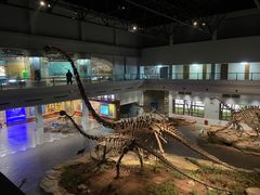 -自贡恐龙博物馆