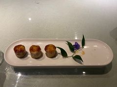 -梧桐