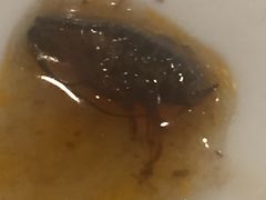 -重庆酒家