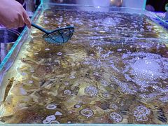 -聚盛源蒸汽海鲜火锅烤肉自助(巨川金海岸购物广场店)